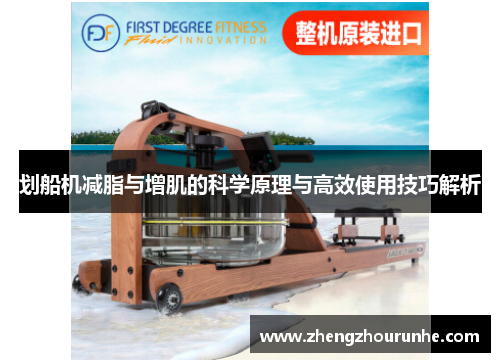 划船机减脂与增肌的科学原理与高效使用技巧解析
