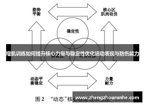 增肌训练如何提升核心力量与稳定性优化运动表现与防伤能力