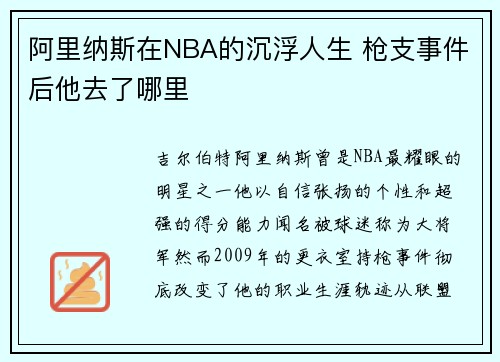 阿里纳斯在NBA的沉浮人生 枪支事件后他去了哪里